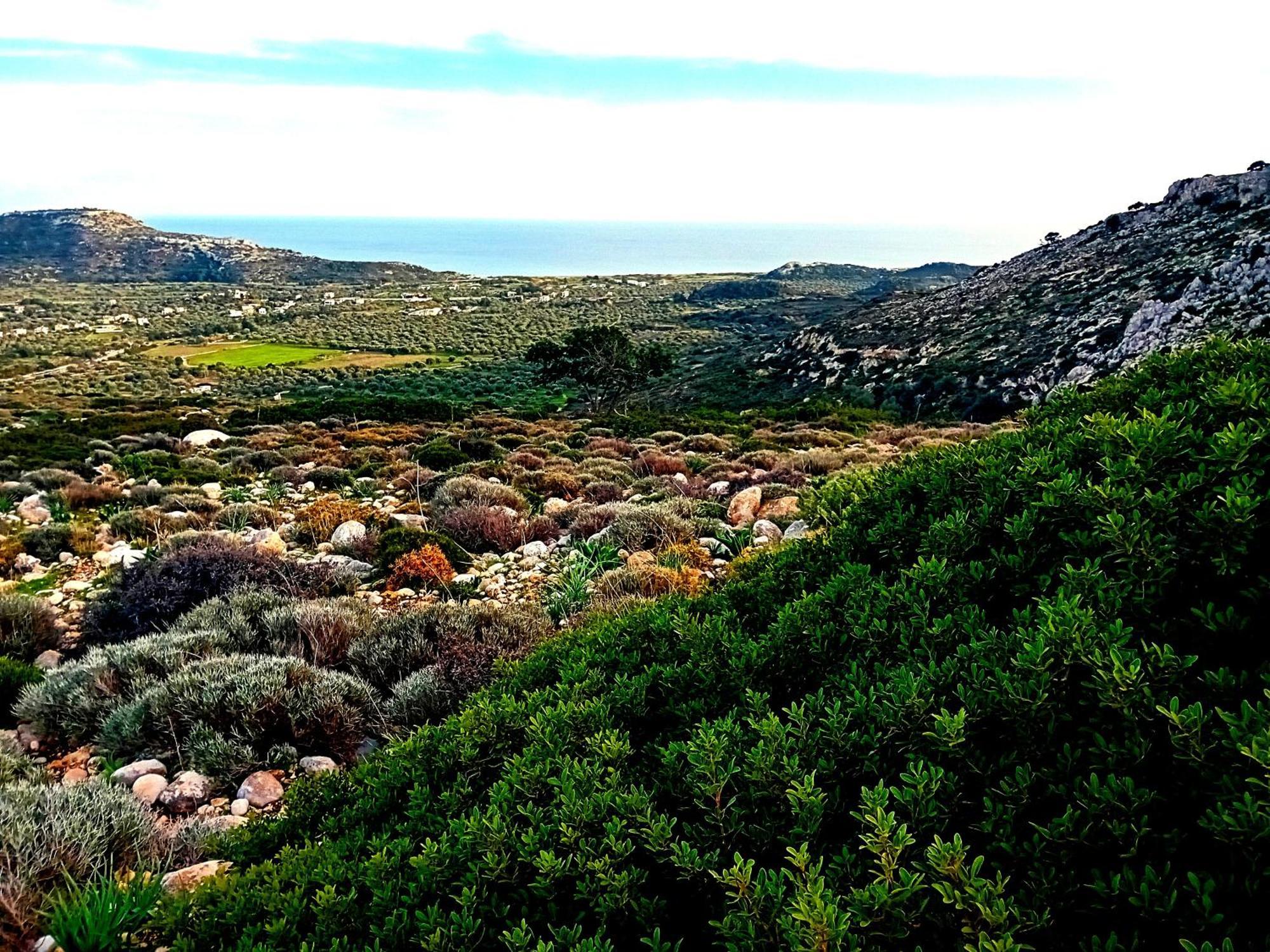 Lucidum Villa Rhodes Faliraki Bagian luar foto